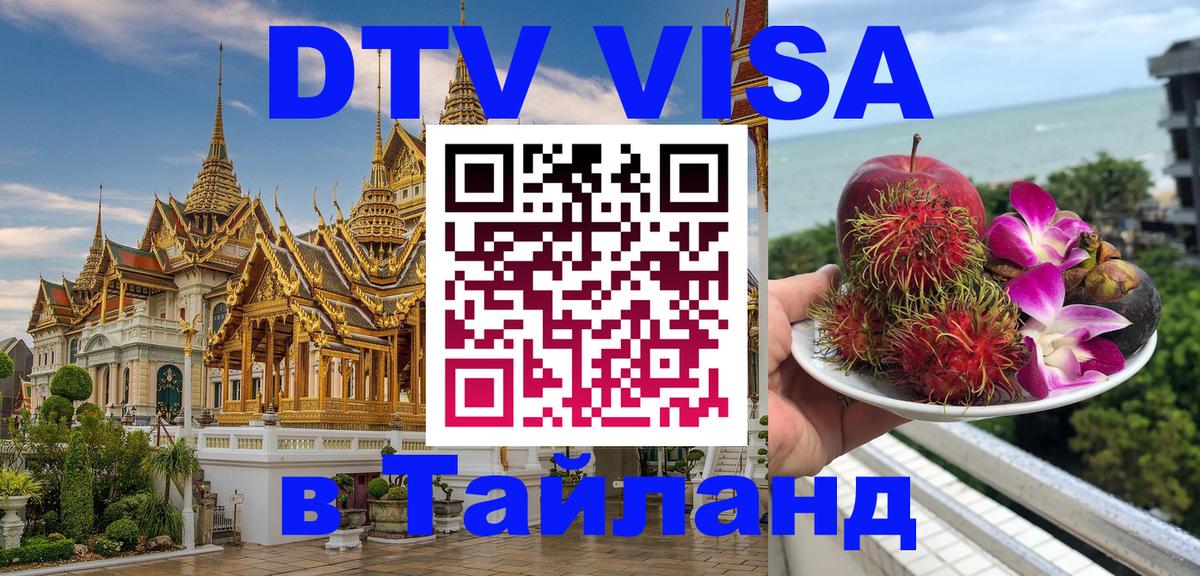 Сколько стоит DTV виза — актуальные цены, оформление даже без документов - Назрань 